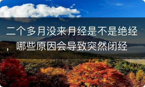 二个多月没来月经是不是绝经，哪些原因会导致突然闭经