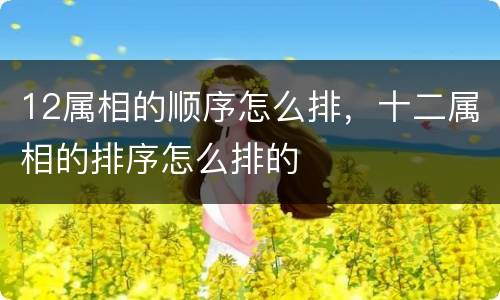 12属相的顺序怎么排，十二属相的排序怎么排的