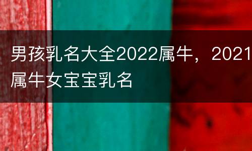 男孩乳名大全2022属牛，2021属牛女宝宝乳名