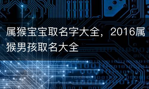 属猴宝宝取名字大全，2016属猴男孩取名大全