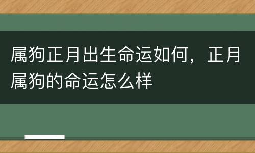 属狗正月出生命运如何，正月属狗的命运怎么样
