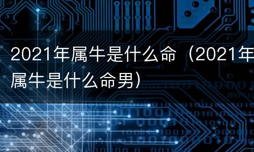 2021年属牛是什么命（2021年属牛是什么命男）