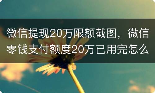 微信提现20万限额截图，微信零钱支付额度20万已用完怎么办？