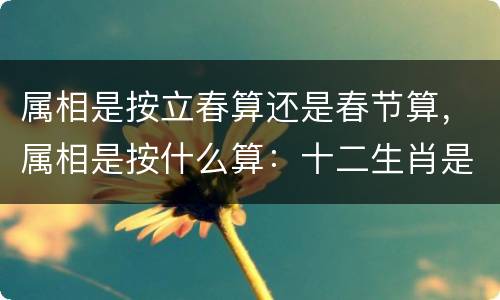 属相是按立春算还是春节算，属相是按什么算：十二生肖是按阳历,