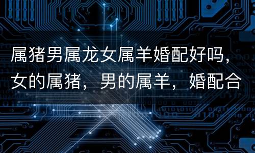 属猪男属龙女属羊婚配好吗，女的属猪，男的属羊，婚配合适不