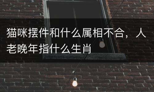 猫咪摆件和什么属相不合，人老晚年指什么生肖