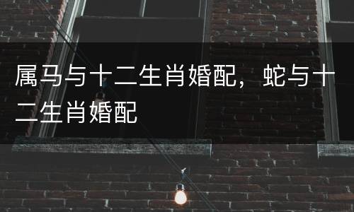 属马与十二生肖婚配，蛇与十二生肖婚配