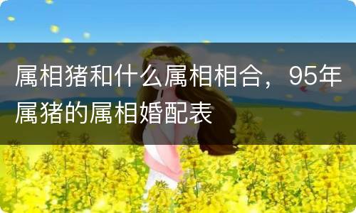 属相猪和什么属相相合，95年属猪的属相婚配表