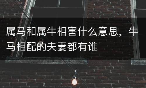 属马和属牛相害什么意思，牛马相配的夫妻都有谁