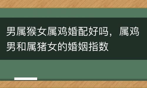 男属猴女属鸡婚配好吗，属鸡男和属猪女的婚姻指数