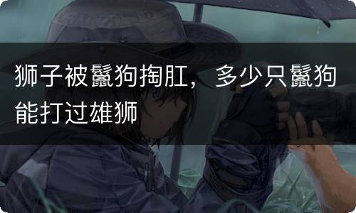 狮子被鬣狗掏肛，多少只鬣狗能打过雄狮