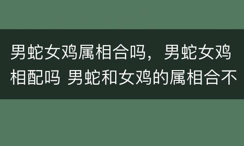 男蛇女鸡属相合吗，男蛇女鸡相配吗 男蛇和女鸡的属相合不合