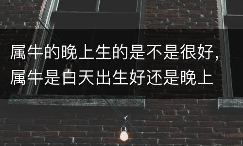 属牛的晚上生的是不是很好，属牛是白天出生好还是晚上