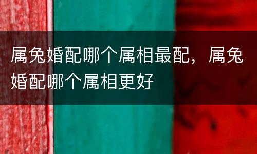 属兔婚配哪个属相最配，属兔婚配哪个属相更好