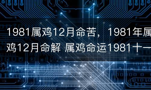 1981属鸡12月命苦，1981年属鸡12月命解 属鸡命运1981十一月份