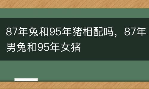 87年兔和95年猪相配吗，87年男兔和95年女猪