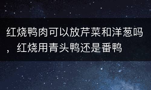 红烧鸭肉可以放芹菜和洋葱吗，红烧用青头鸭还是番鸭