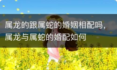 属龙的跟属蛇的婚姻相配吗，属龙与属蛇的婚配如何