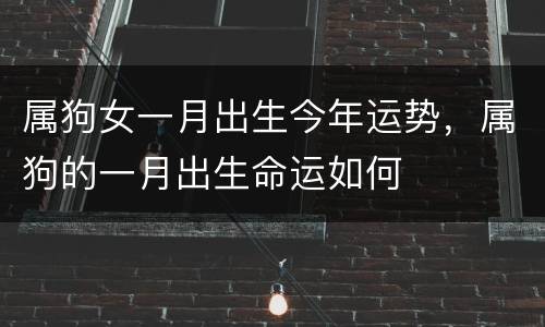 属狗女一月出生今年运势，属狗的一月出生命运如何