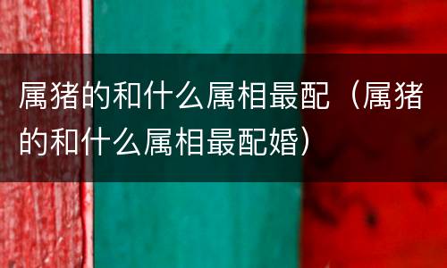 属猪的和什么属相最配（属猪的和什么属相最配婚）