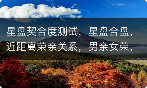星盘契合度测试，星盘合盘，近距离荣亲关系，男亲女荣，契合度95分，说我