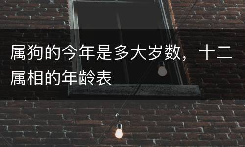 属狗的今年是多大岁数，十二属相的年龄表