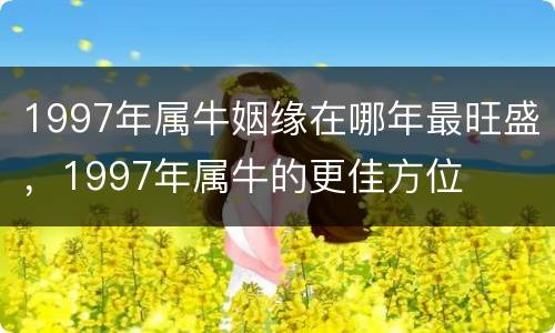 1997年属牛姻缘在哪年最旺盛，1997年属牛的更佳方位