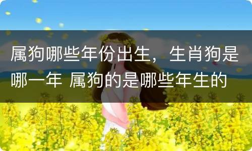 属狗哪些年份出生，生肖狗是哪一年 属狗的是哪些年生的