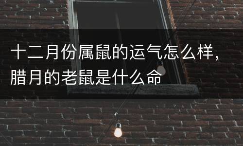 十二月份属鼠的运气怎么样，腊月的老鼠是什么命