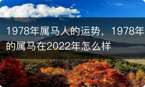 1978年属马人的运势，1978年的属马在2022年怎么样