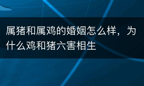 属猪和属鸡的婚姻怎么样，为什么鸡和猪六害相生