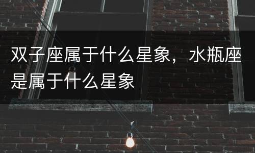 双子座属于什么星象，水瓶座是属于什么星象