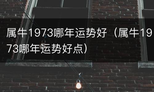 属牛1973哪年运势好（属牛1973哪年运势好点）