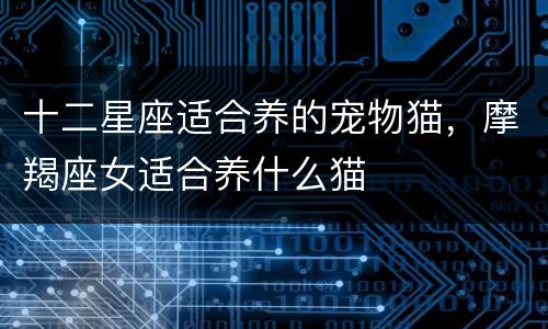 十二星座适合养的宠物猫，摩羯座女适合养什么猫