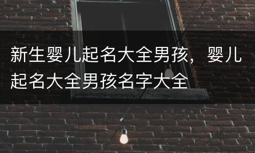新生婴儿起名大全男孩，婴儿起名大全男孩名字大全