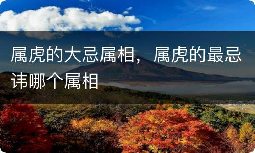 属虎的大忌属相，属虎的最忌讳哪个属相