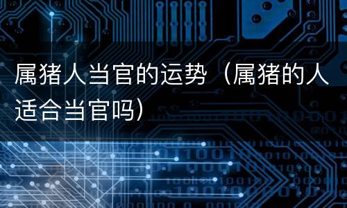 属猪人当官的运势（属猪的人适合当官吗）