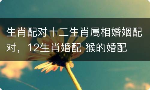 生肖配对十二生肖属相婚姻配对，12生肖婚配 猴的婚配