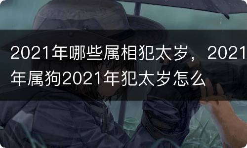2021年哪些属相犯太岁，2021年属狗2021年犯太岁怎么