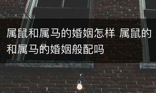 属鼠和属马的婚姻怎样 属鼠的和属马的婚姻般配吗
