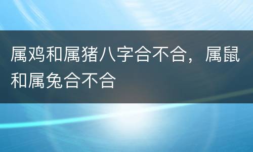 属鸡和属猪八字合不合，属鼠和属兔合不合