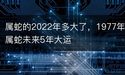 属蛇的2022年多大了，1977年属蛇未来5年大运