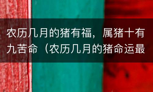 农历几月的猪有福，属猪十有九苦命（农历几月的猪命运最好）