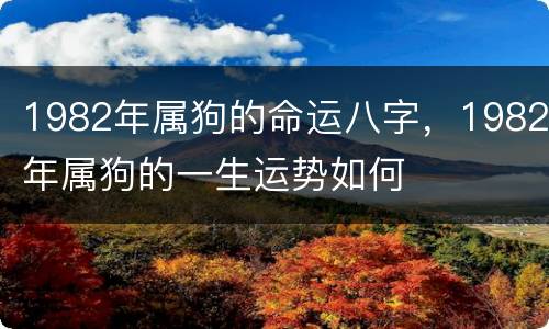 1982年属狗的命运八字，1982年属狗的一生运势如何