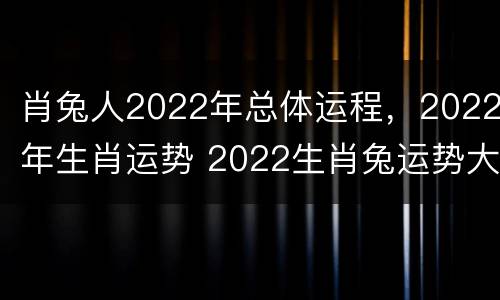肖兔人2022年总体运程，2022年生肖运势 2022生肖兔运势大全每月运程
