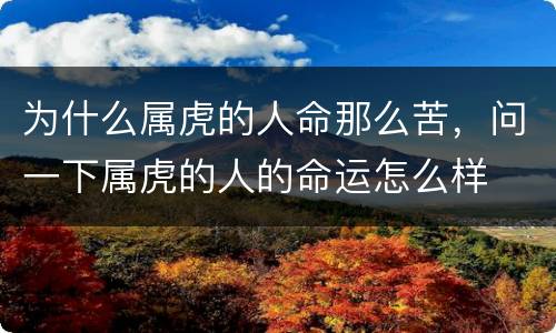 为什么属虎的人命那么苦，问一下属虎的人的命运怎么样