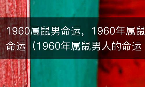 1960属鼠男命运，1960年属鼠命运（1960年属鼠男人的命运）
