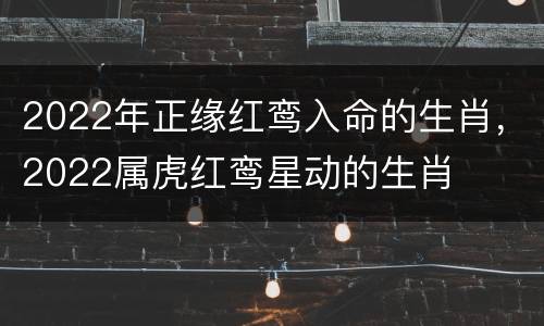 2022年正缘红鸾入命的生肖，2022属虎红鸾星动的生肖