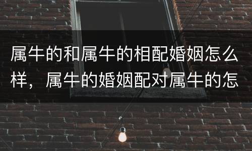 属牛的和属牛的相配婚姻怎么样，属牛的婚姻配对属牛的怎么样