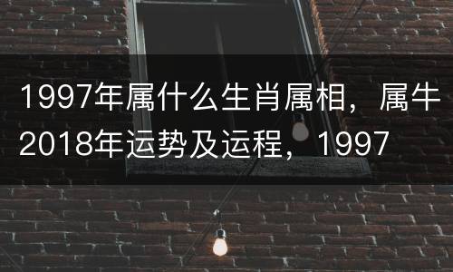 1997年属什么生肖属相，属牛2018年运势及运程，1997